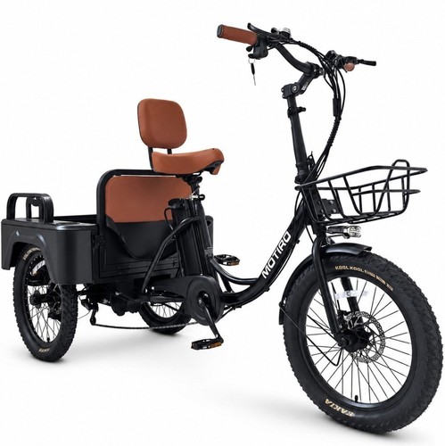 Triciclo elettrico pieghevole