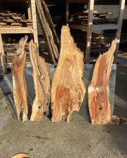 Tavolette di legno di Ulivo 4