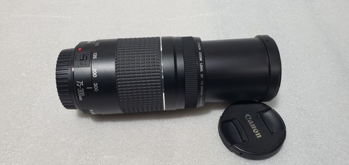 Canon obiettivo zoom 300 - ef,