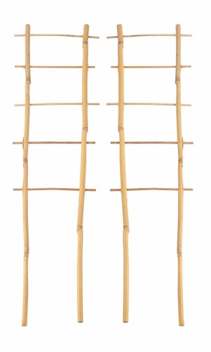 Pannello bambù 60cm - 2x,