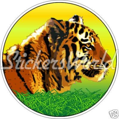 Tigre gatto selvatico - gatto,