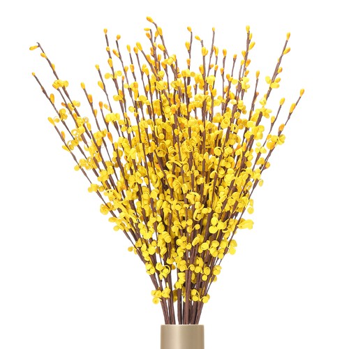 Pezzi fiore gelsomino - fiore,