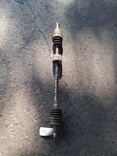 46308259 semialbero ant - 46308259,