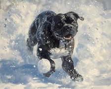 Cane Corso che gioca nella