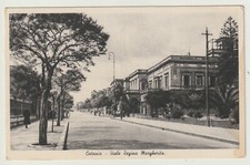 ITALIA - cartolina CATANIA - Viale Regina Margherita - nvg - fp
