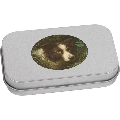 Border collie portrait - 'border,