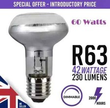 4x 42 W (=60 W) lampadina