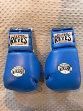 Guantoni da boxe Cleyto Reyes