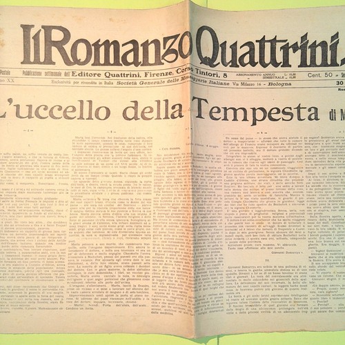 Uccello della tempesta - l'uccello,