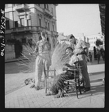 Foto:fare rete Sicilia