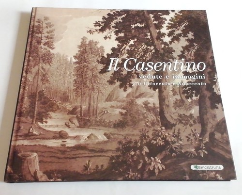 Libro casentino vedute - il,