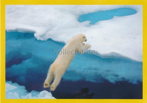 Panini national geographic - panini,