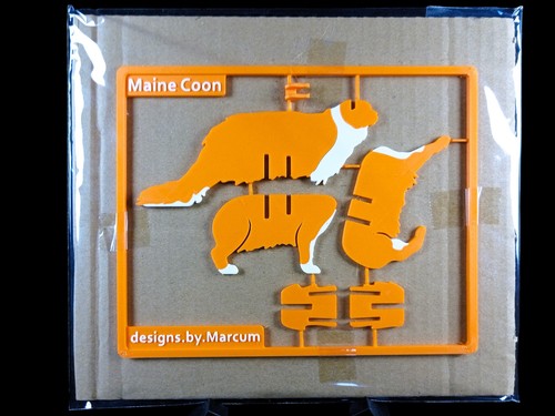 Gatto maine coon kit - maine, card