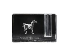 American Paint Horse -