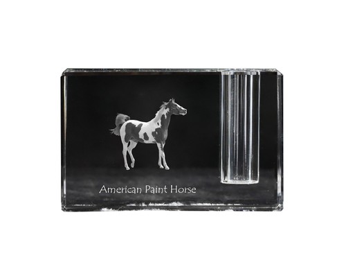 American paint horse - horse,