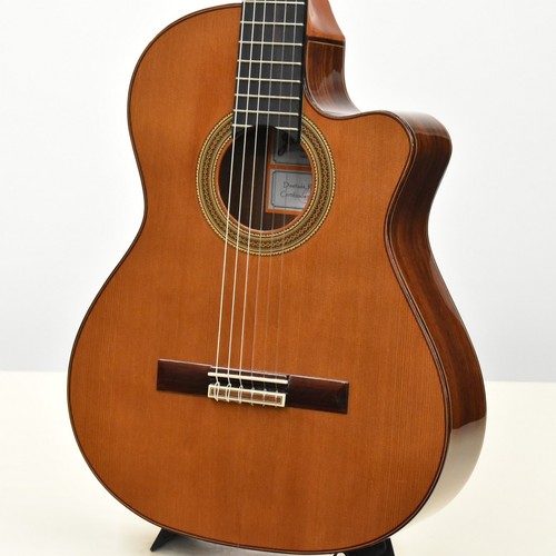 Chitarra elettroacustica jose - elettroacustica,