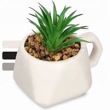 KADAX piante grasse in vaso