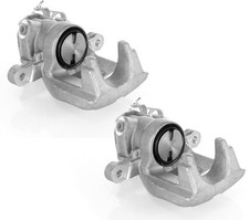 Coppia Pinze Freni Posteriori