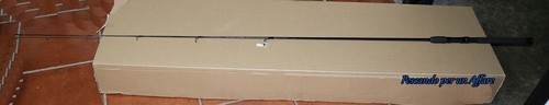 Canna pesca spinning trota - canna,