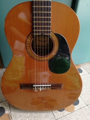 Chitarra classica raimundo - chitarra,