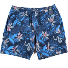 Hollister Board Shorts Uomo