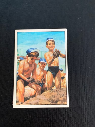 Panini italia patria - panini,
