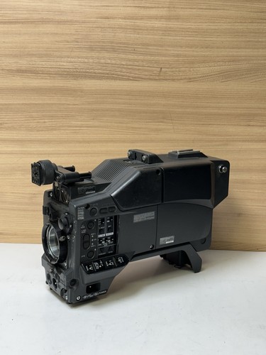 Videocamera digitale sony - digitale,