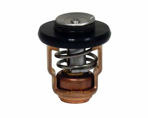 Termostato originale yamaha - termostato,