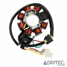 ✅ Alternatore Statore HUSQVARNA SM 510 R (2005-2007)