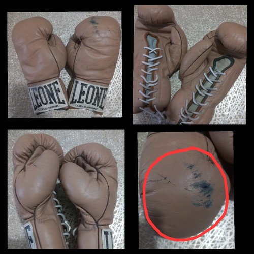 Leone guantoni boxe con - guantoni,
