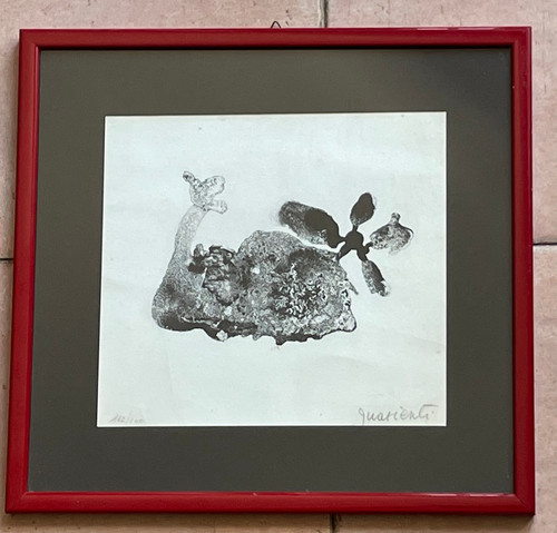 Carlo guarienti litografia - carlo,