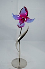 SWAROVSKI CRISTALLO PARADISO