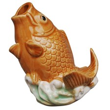  Spruzzatore per piscina