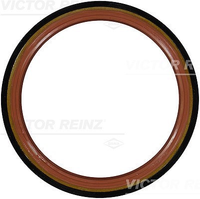 Paraolio victor reinz lato - paraolio,