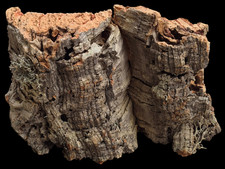 Corteccia di Sughero 20X14 cm