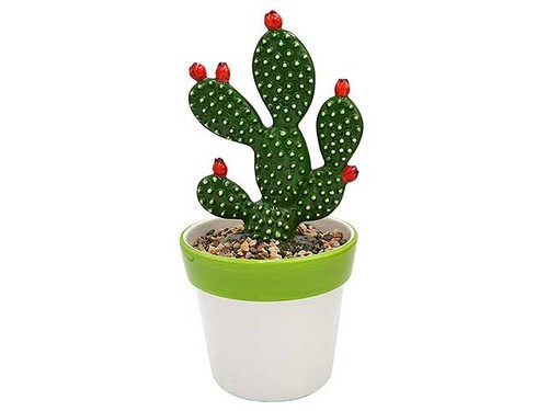 Pianta fico india - fico, h27cm