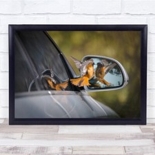 Look At Me Gorgeous Mirror Bird Car Rearview Wall Art Print
