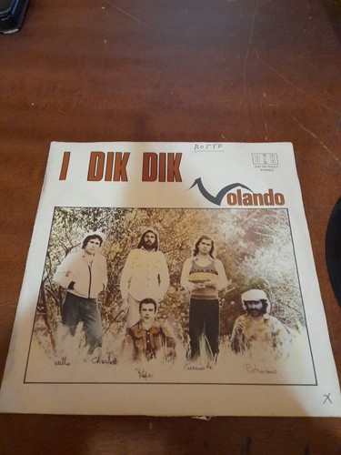Dik giri - dik,