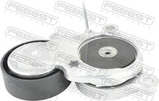 FEBEST 1690-X156 Tendicinghia