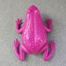 RANA piccola - CRACKING ART