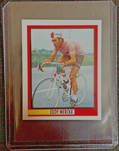 Sticker eddy merckx belgium - belgium, #