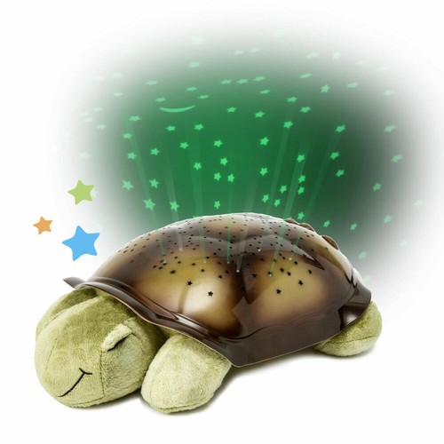 Cloud twilight turtle - b,