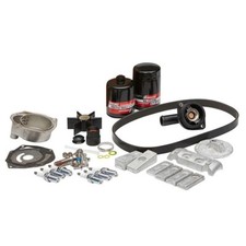 service kit 300 ore mercury