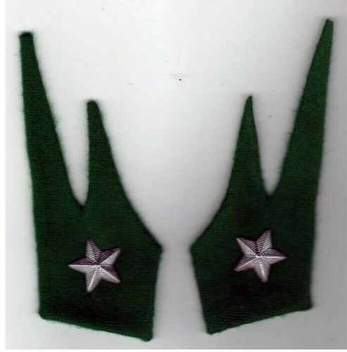 Coppia mostrine alpini - coppia,