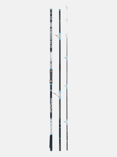 Canna surfcasting bad - surfcasting, bass