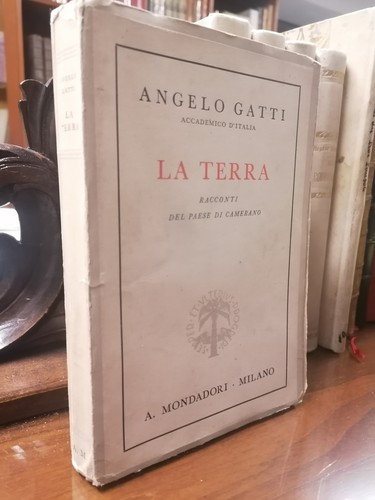 Angelo gatti terra - angelo, la