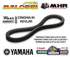 Cinghia Trasmissione Malossi