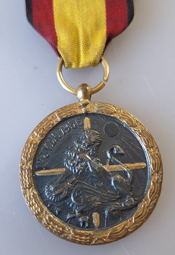 Medaglia militare campagna di - ,