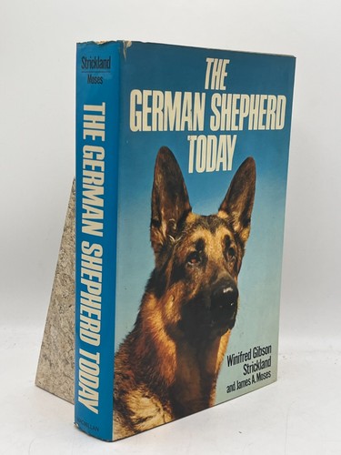 The german shepherd - shepherd, today