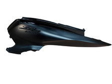 CARENA SINISTRA CON LIEVI